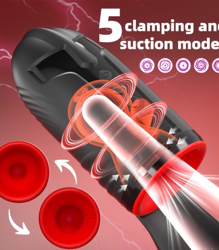 Subaru Rhythm — Triple-Tech Pleasure Trainer